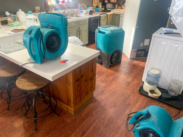 Best Water damage restoration specialists  in Lawrence, KS
