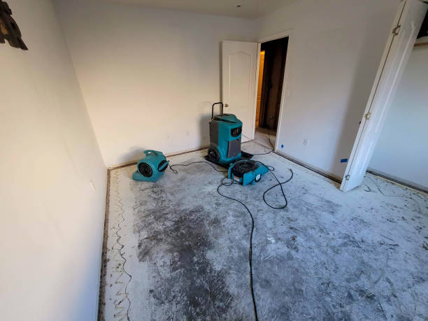 Best Sewage cleanup and water damage restoration  in Lawrence, KS