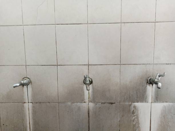 Best Water damage restoration process  in Lawrence, KS